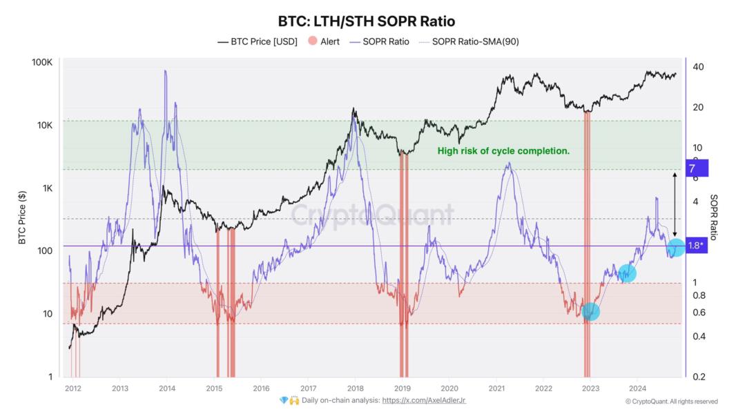 SOPR, BITCOIN BULL RUN, CRIPTOBEAST