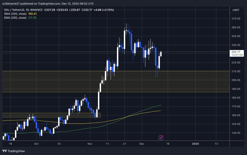 Solana price action, CriptoBeast